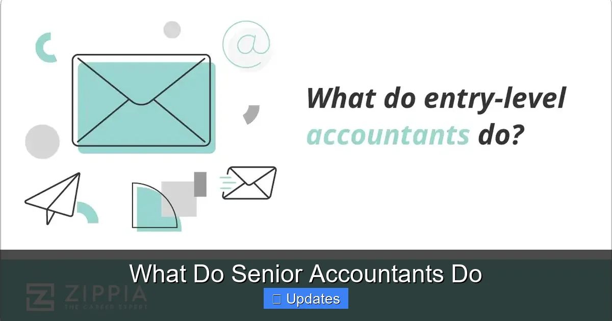 What Do Senior Accountants Do