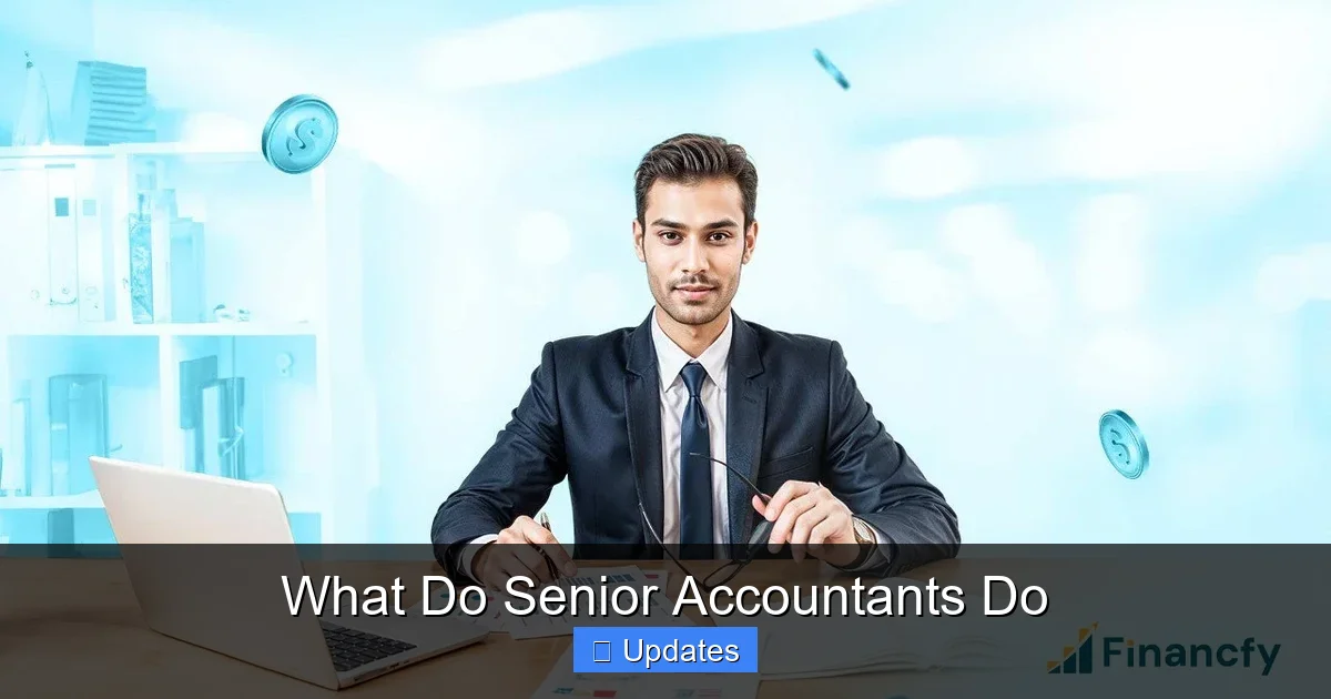 What Do Senior Accountants Do