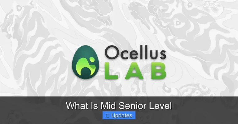 What Is Mid Senior Level