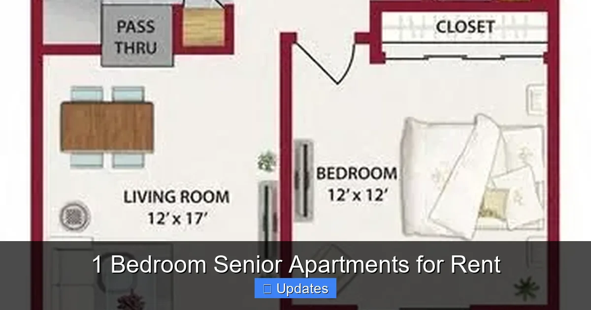 1 Bedroom Senior Apartments for Rent