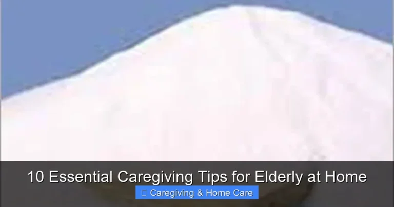 10 Essential Caregiving Tips for Elderly at Home