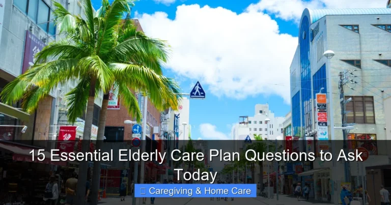 15 Essential Elderly Care Plan Questions to Ask Today