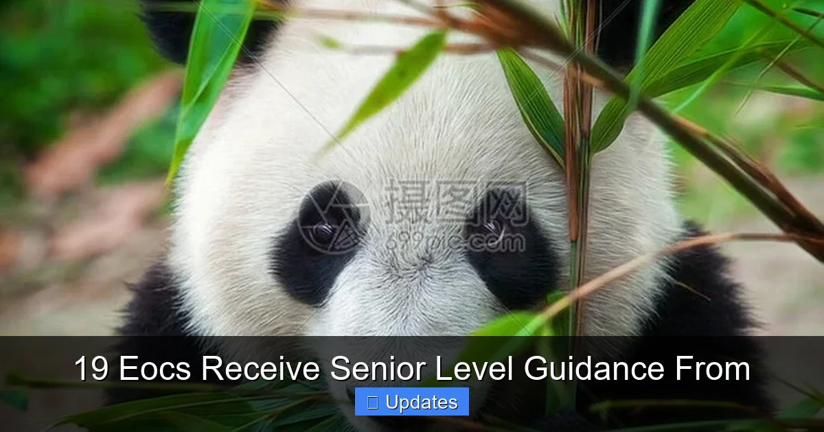 19 Eocs Receive Senior Level Guidance From