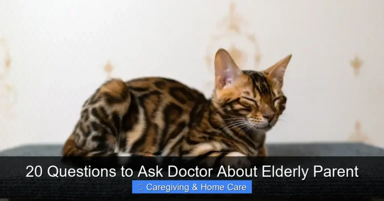 20 Questions to Ask Doctor About Elderly Parent