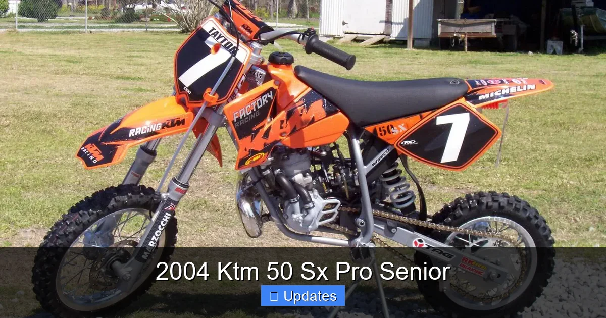 2004 Ktm 50 Sx Pro Senior