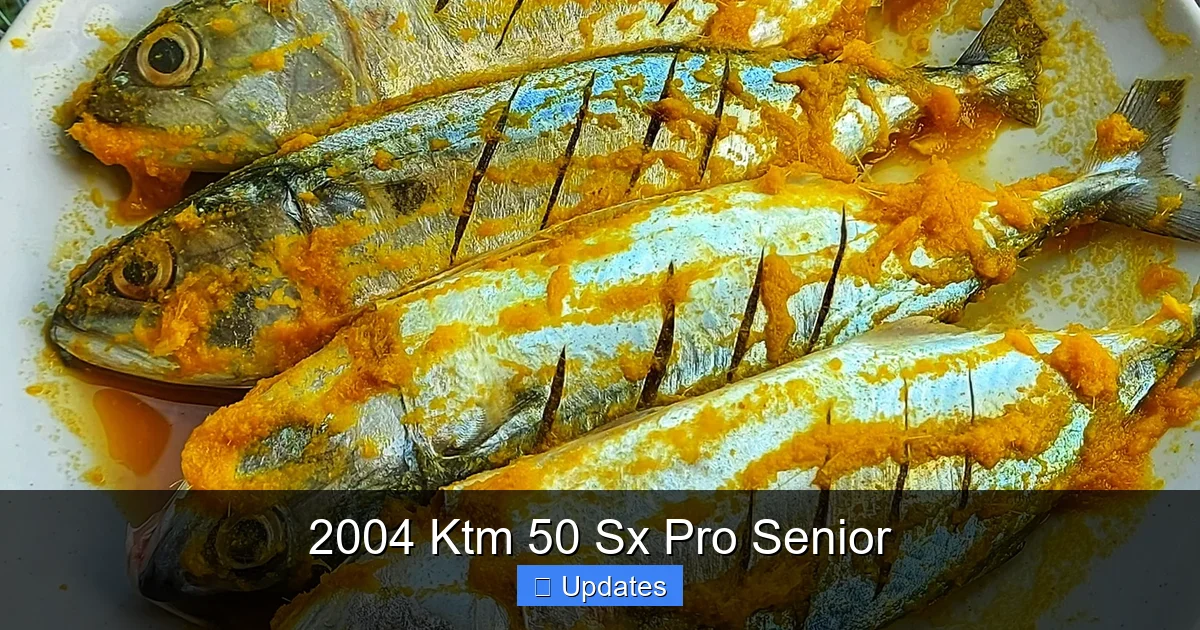 2004 Ktm 50 Sx Pro Senior