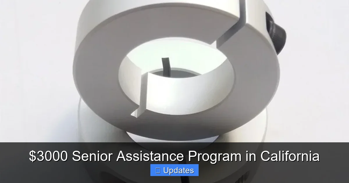 $3000 Senior Assistance Program in California