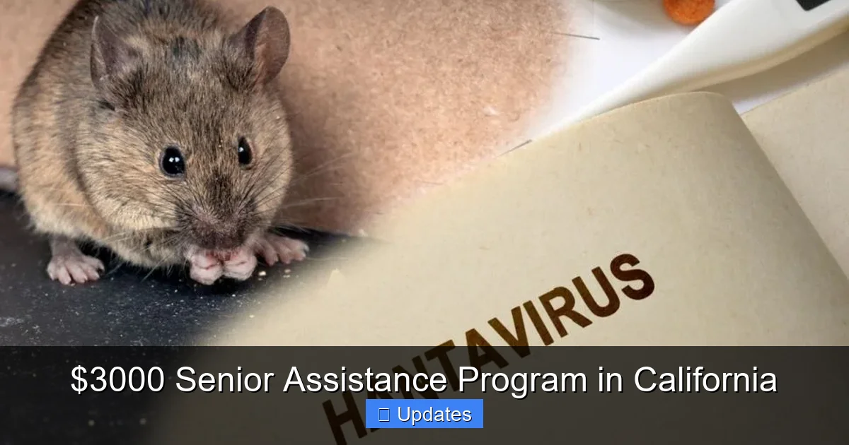 $3000 Senior Assistance Program in California