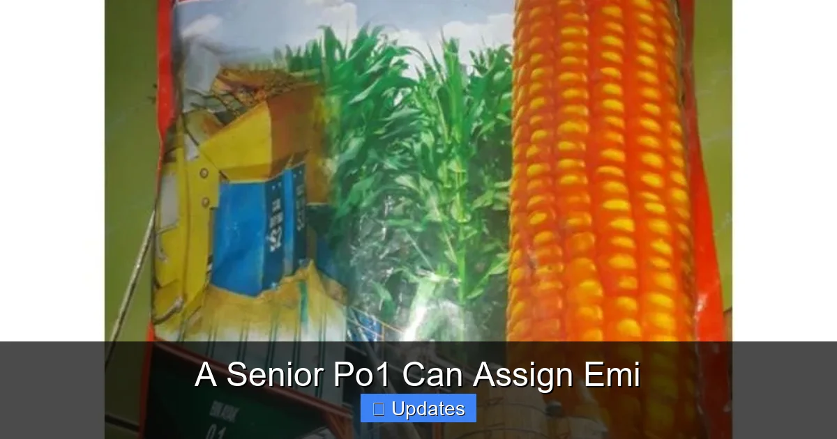 A Senior Po1 Can Assign Emi
