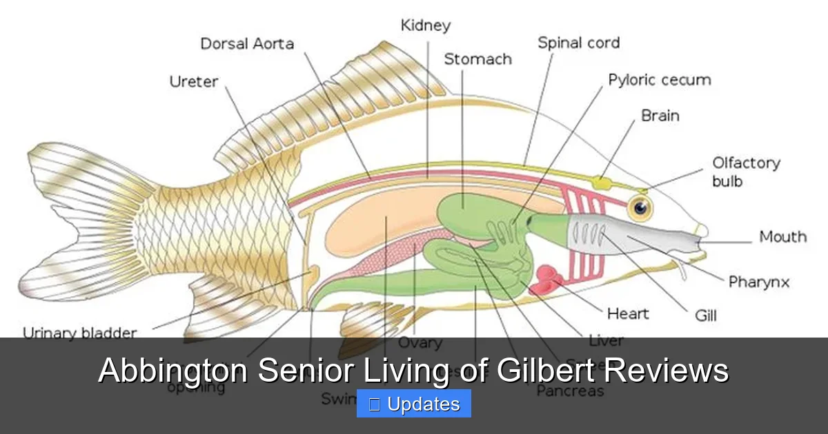 Abbington Senior Living of Gilbert Reviews