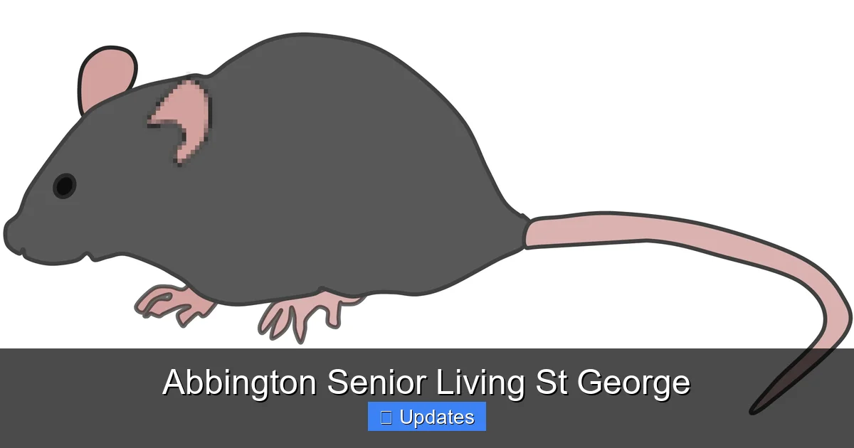 Abbington Senior Living St George