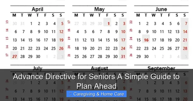 Advance Directive for Seniors A Simple Guide to Plan Ahead