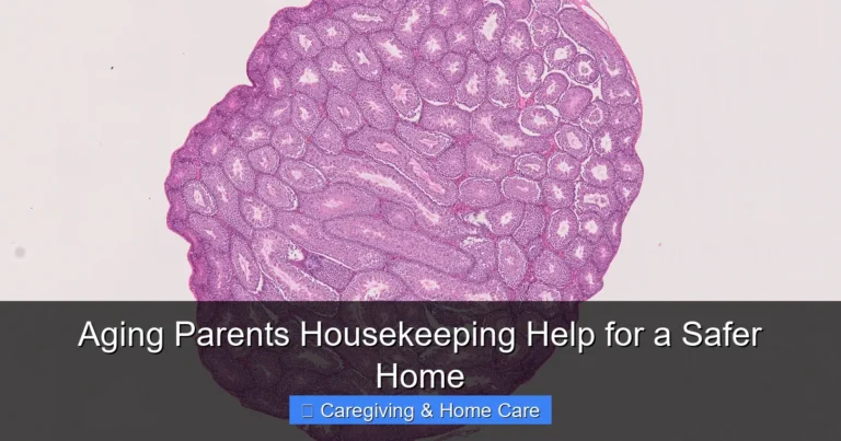 Aging Parents Housekeeping Help for a Safer Home