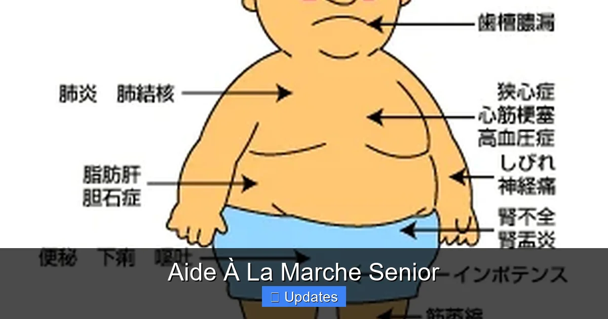 Aide À La Marche Senior