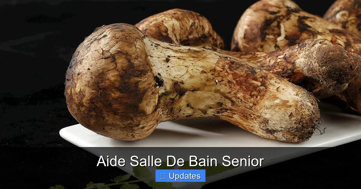 Aide Salle De Bain Senior