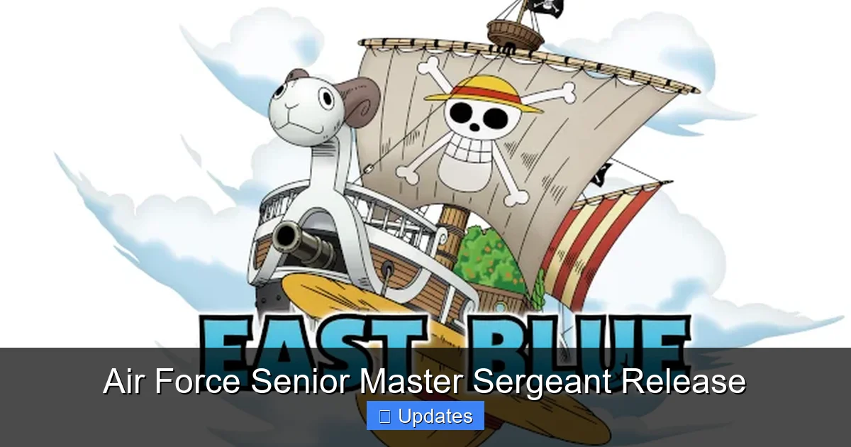 Air Force Senior Master Sergeant Release