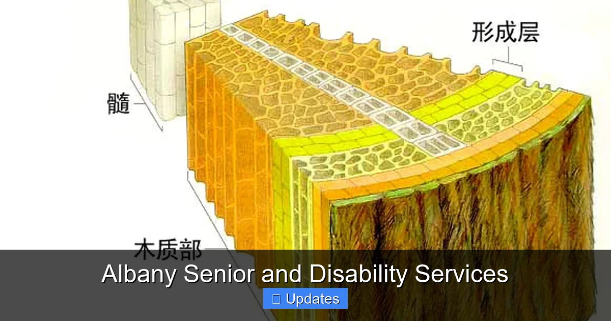 Albany Senior and Disability Services