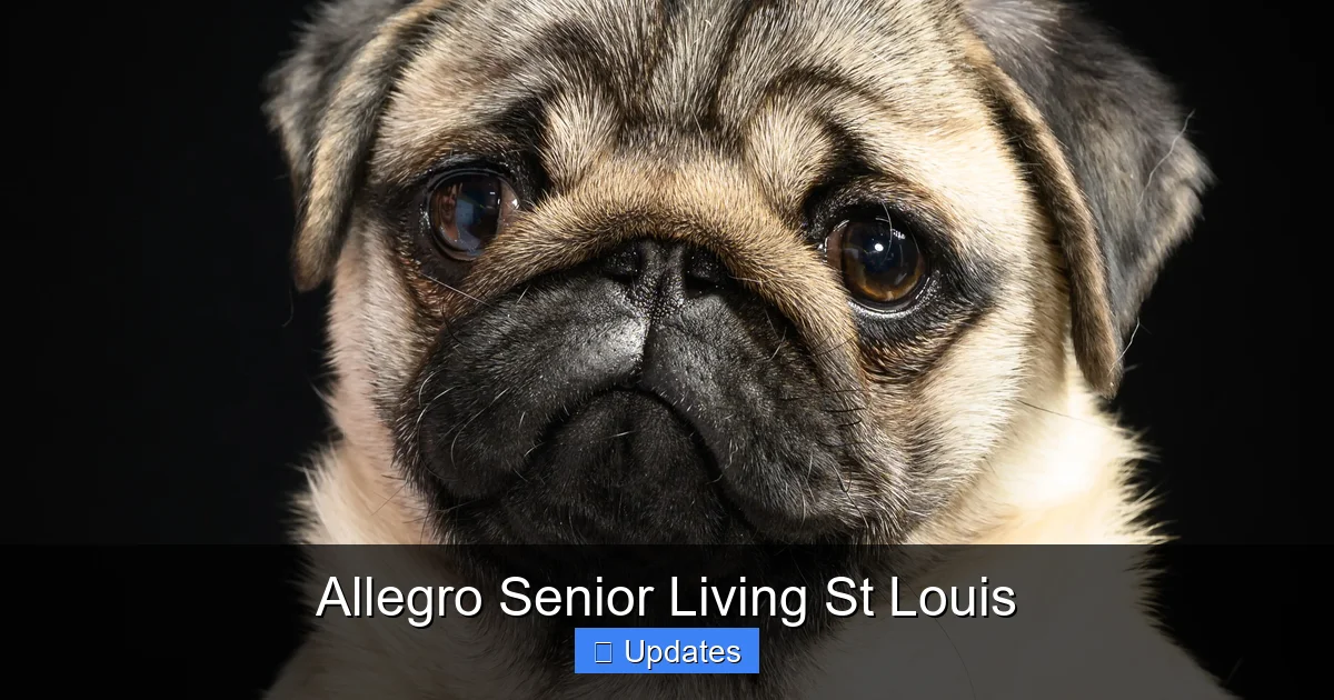 Allegro Senior Living St Louis