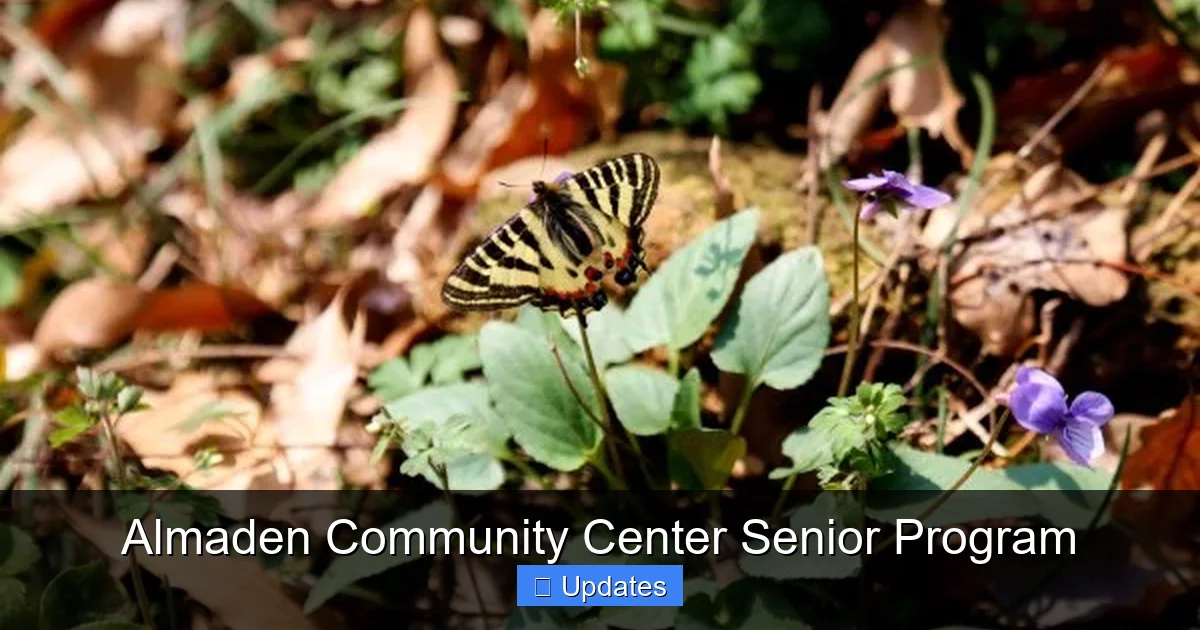 Almaden Community Center Senior Program