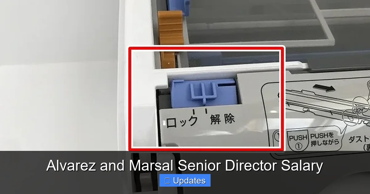 Alvarez and Marsal Senior Director Salary