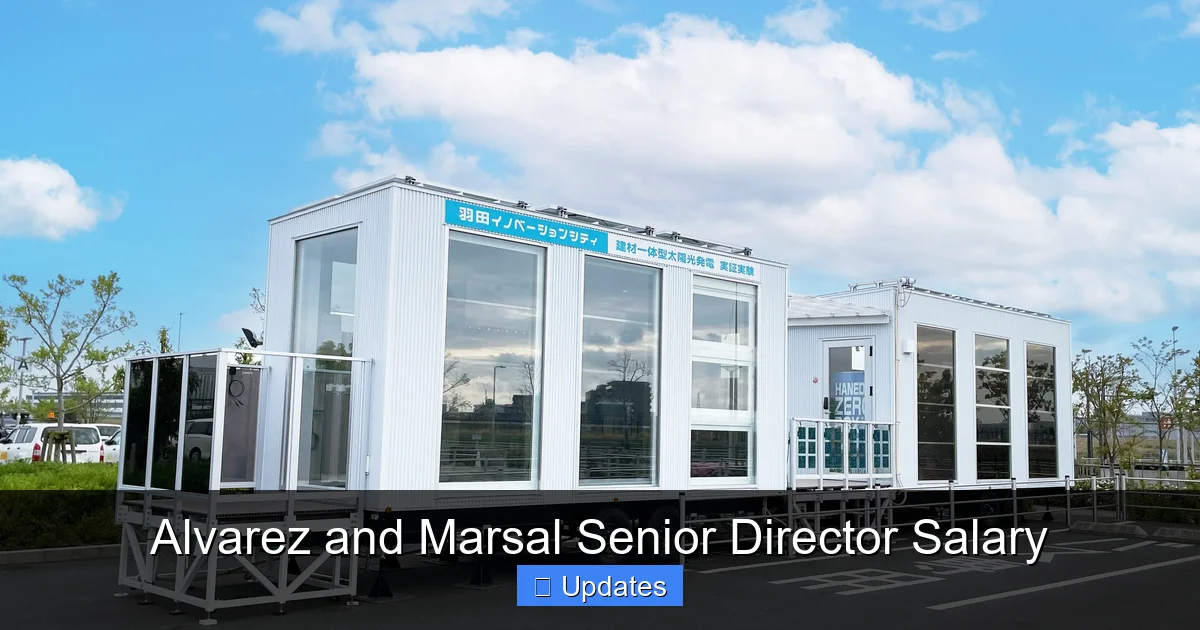 Alvarez and Marsal Senior Director Salary