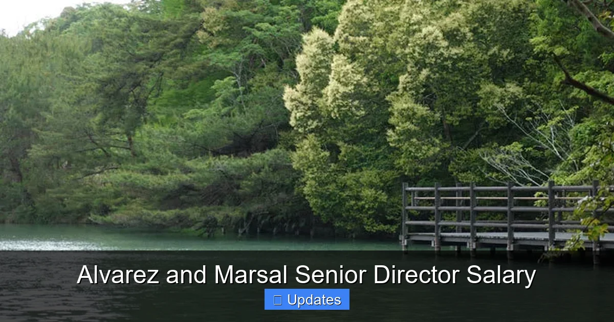 Alvarez and Marsal Senior Director Salary