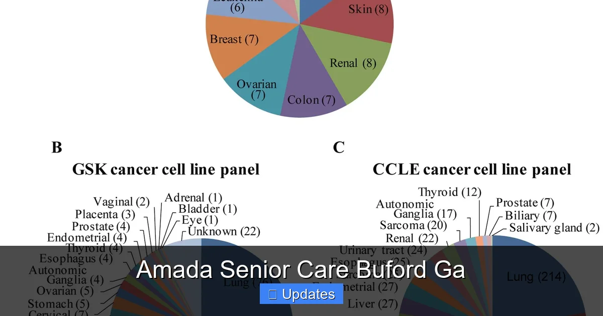 Amada Senior Care Buford Ga