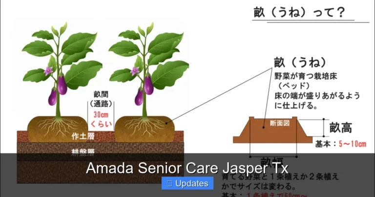 Amada Senior Care Jasper Tx