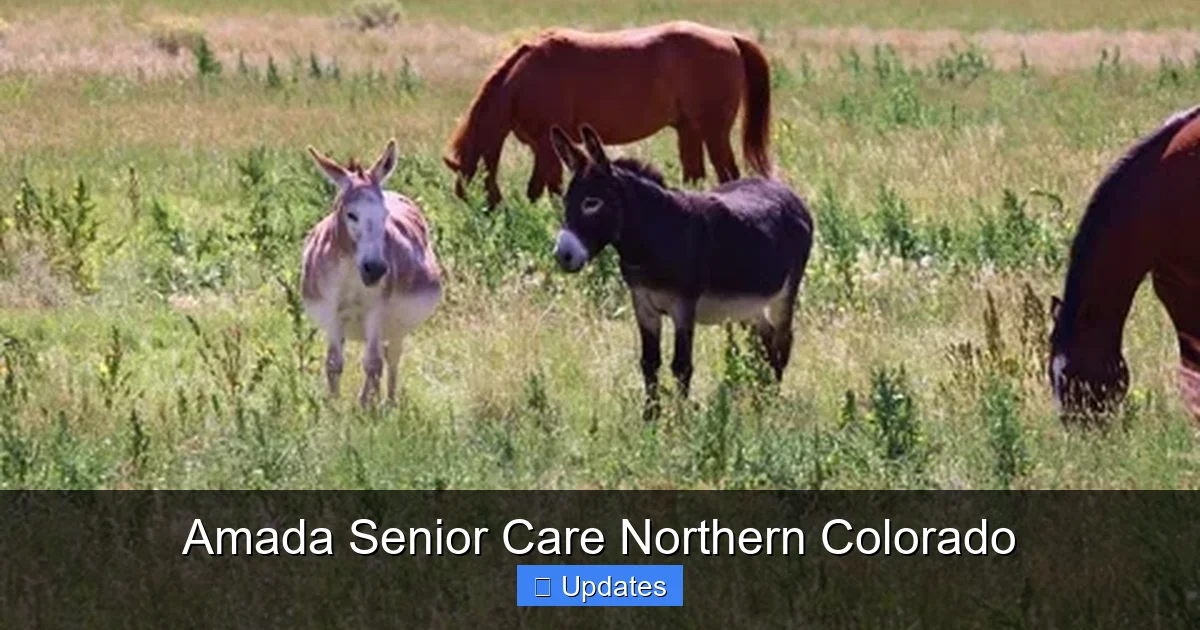 Amada Senior Care Northern Colorado