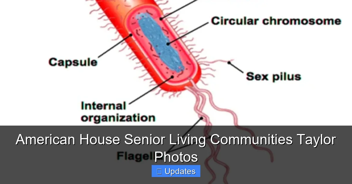 American House Senior Living Communities Taylor Photos