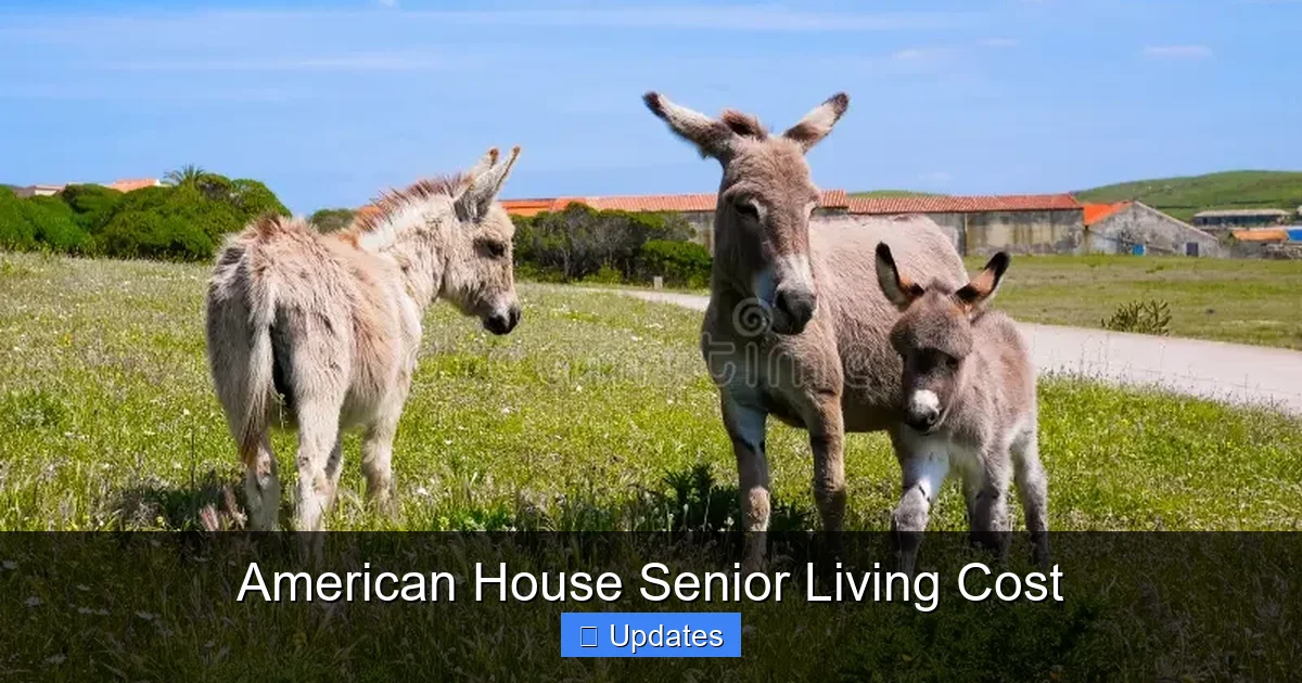 American House Senior Living Cost
