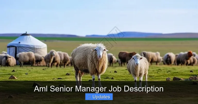 Aml Senior Manager Job Description