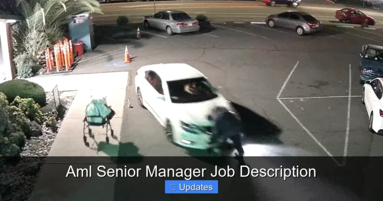 Aml Senior Manager Job Description