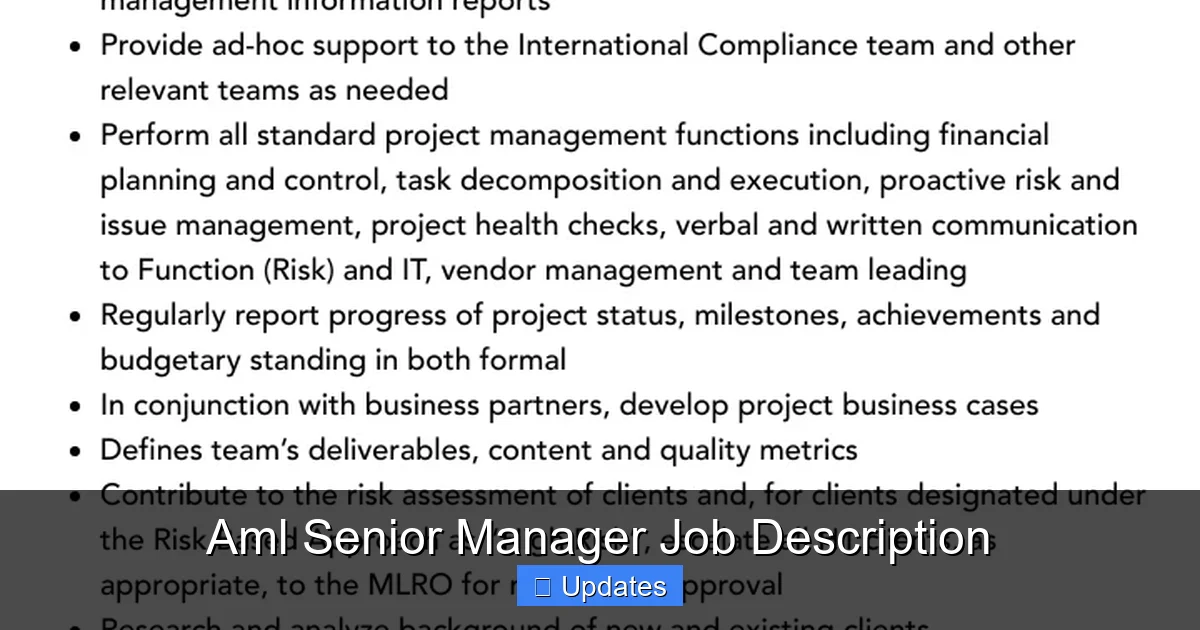 Aml Senior Manager Job Description