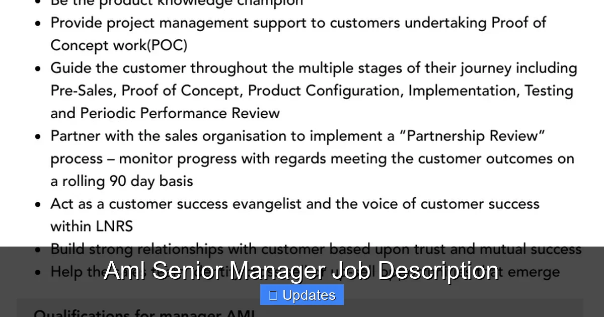 Aml Senior Manager Job Description