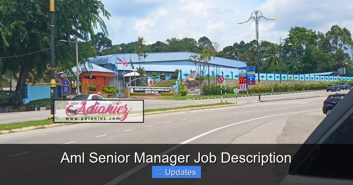 Aml Senior Manager Job Description