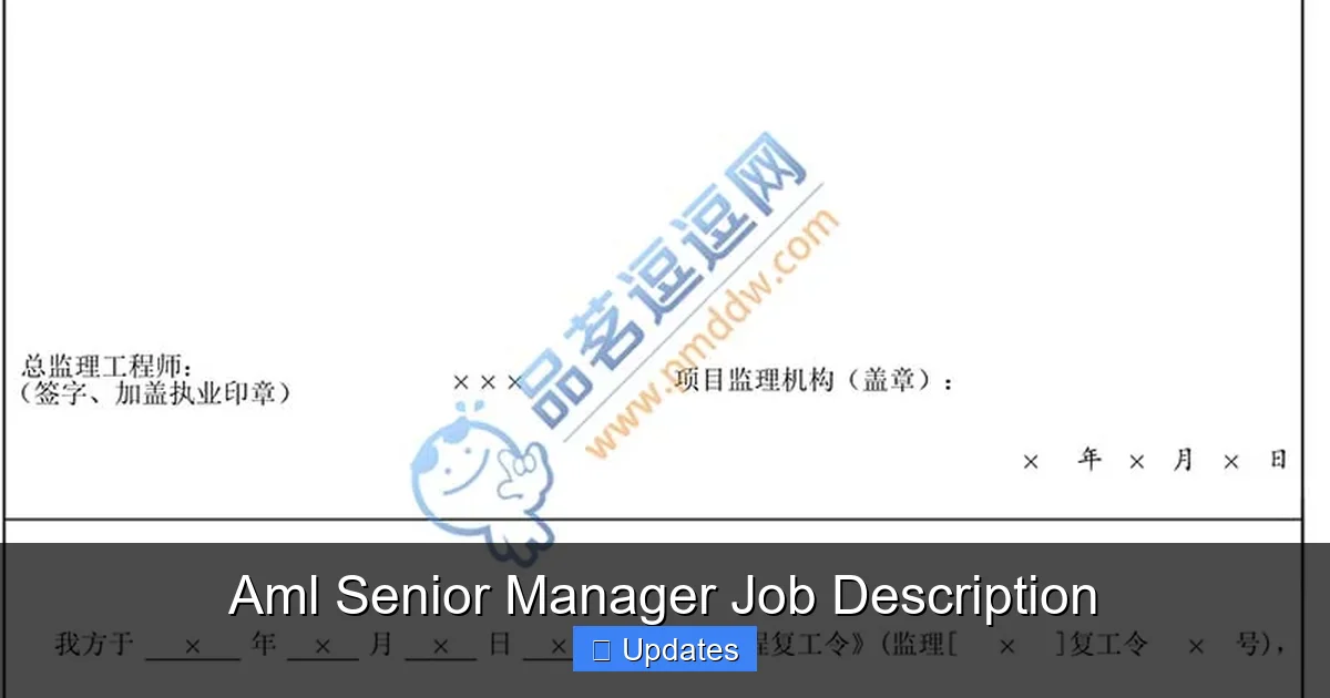 Aml Senior Manager Job Description