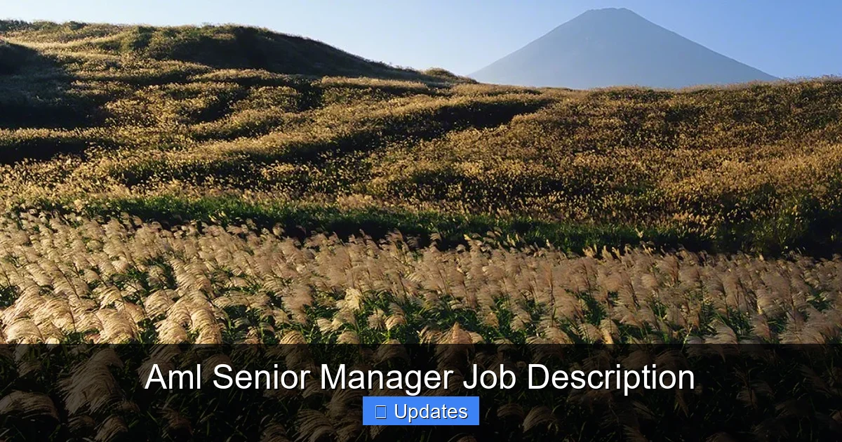Aml Senior Manager Job Description