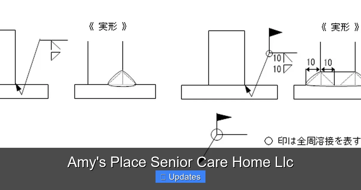 Amy's Place Senior Care Home Llc