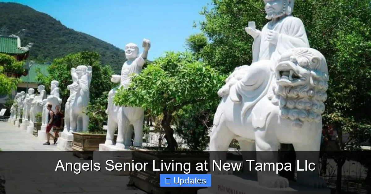 Angels Senior Living at New Tampa Llc