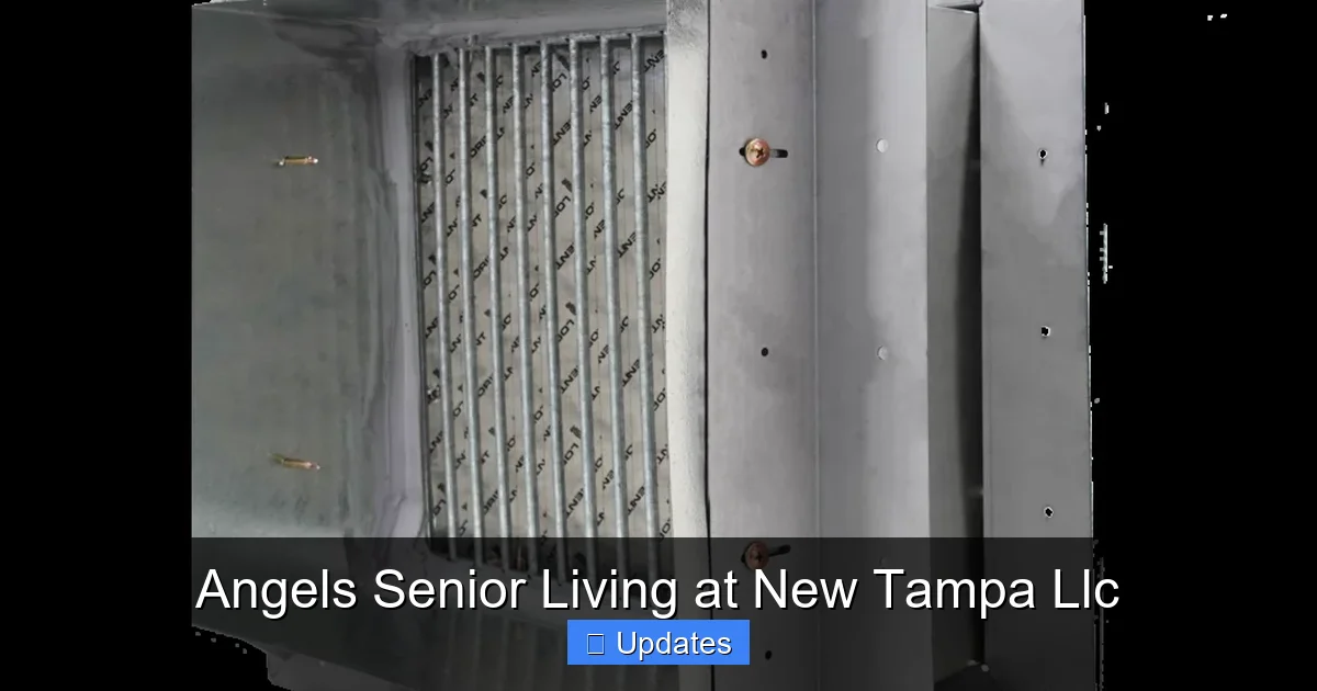 Angels Senior Living at New Tampa Llc