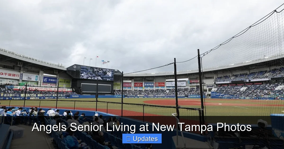 Angels Senior Living at New Tampa Photos