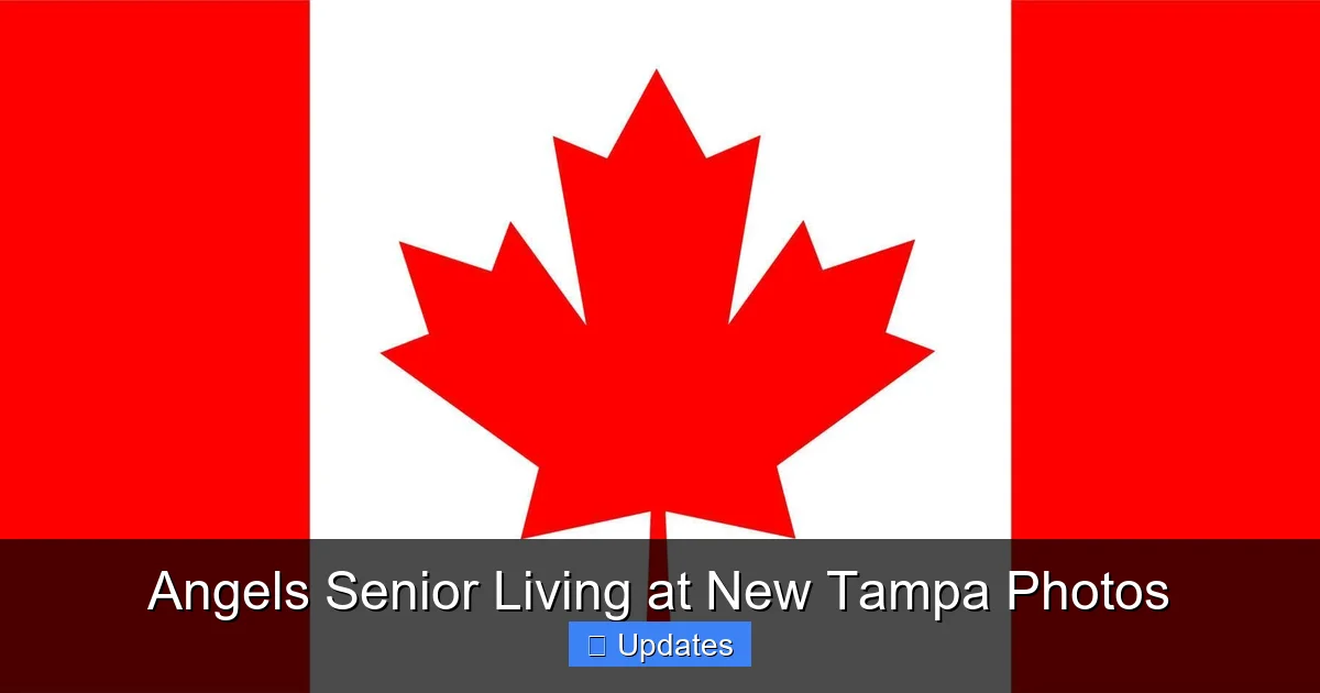 Angels Senior Living at New Tampa Photos