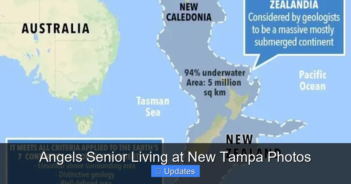 Angels Senior Living at New Tampa Photos