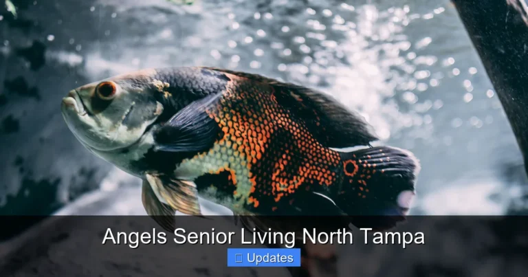 Angels Senior Living North Tampa