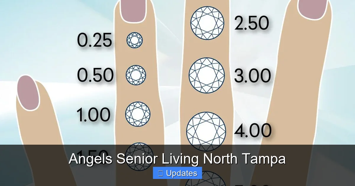 Angels Senior Living North Tampa