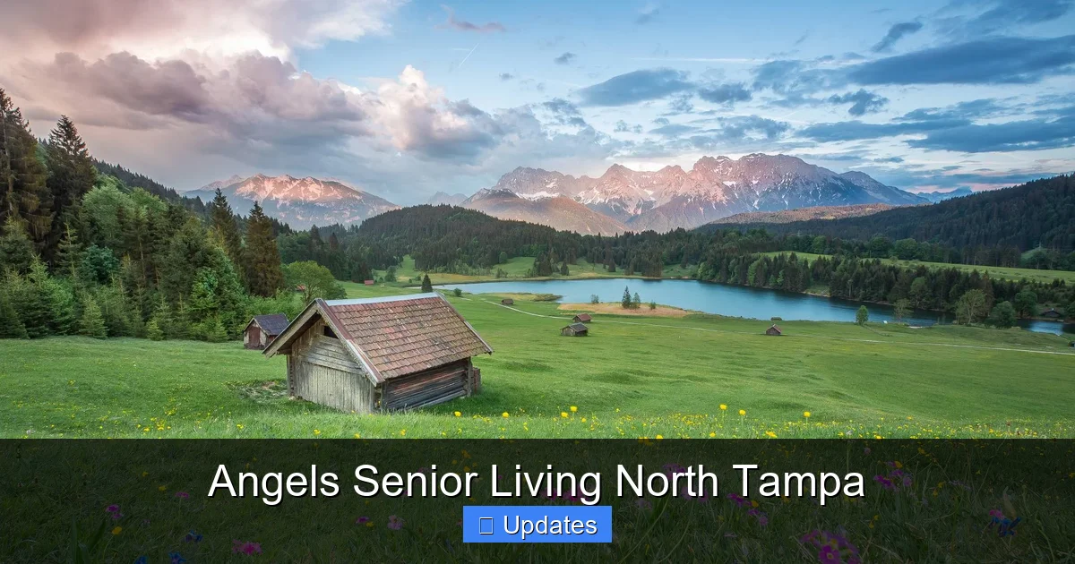 Angels Senior Living North Tampa