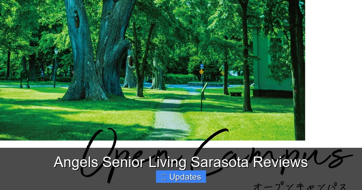 Angels Senior Living Sarasota Reviews