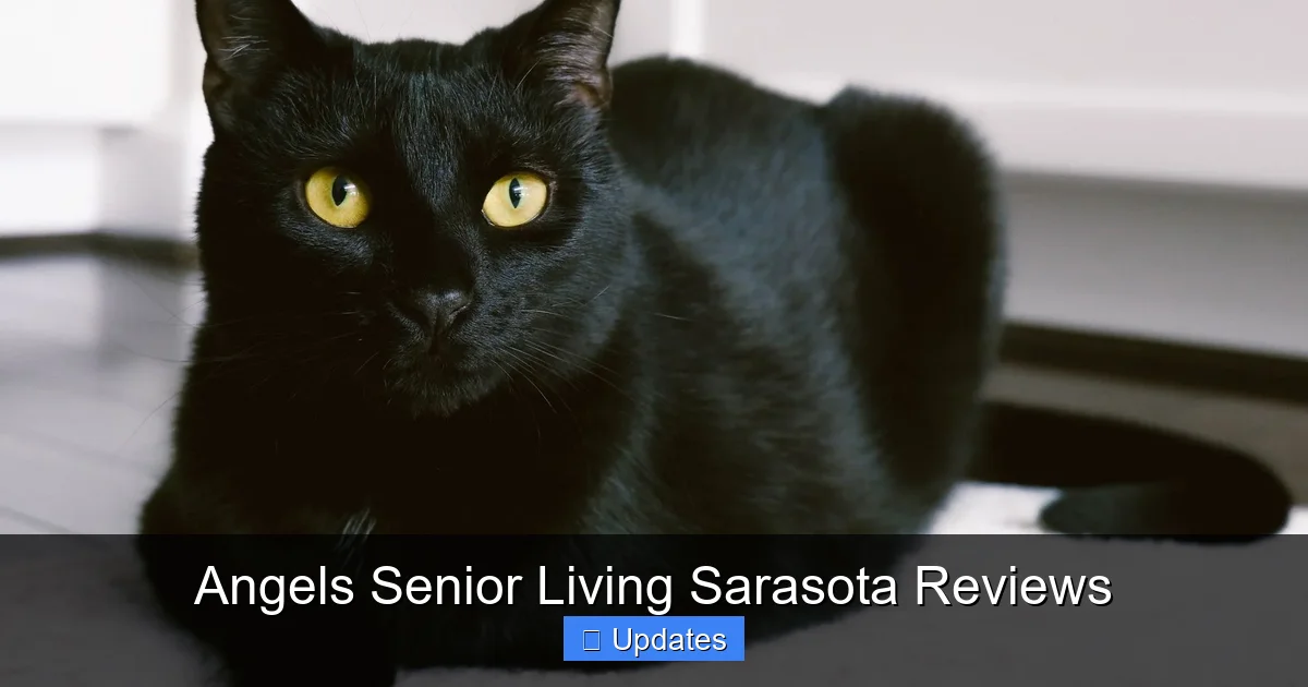 Angels Senior Living Sarasota Reviews