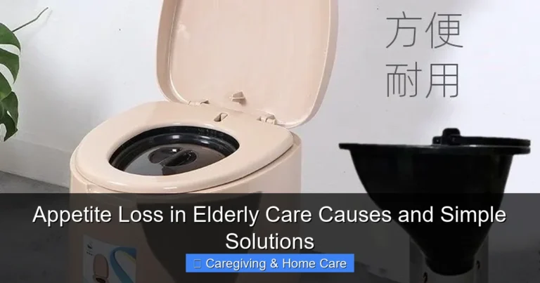 Appetite Loss in Elderly Care Causes and Simple Solutions